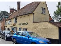 Fox and Duck at Buntingford